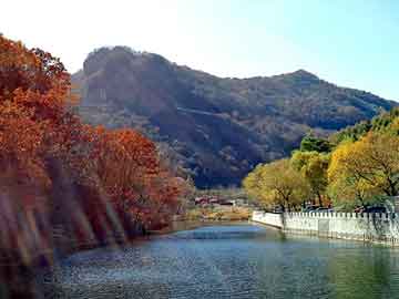 新澳天天开奖资料大全旅游团，逸致论坛